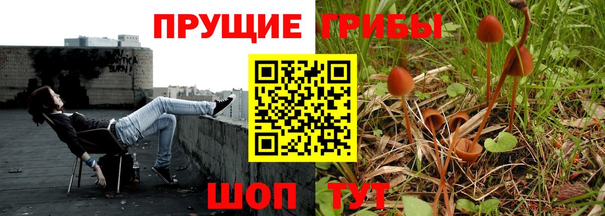 Псилоцибиновые грибы мухоморы Россия
