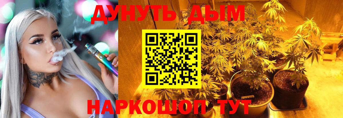 МАРИХУАНА Ganja Россия